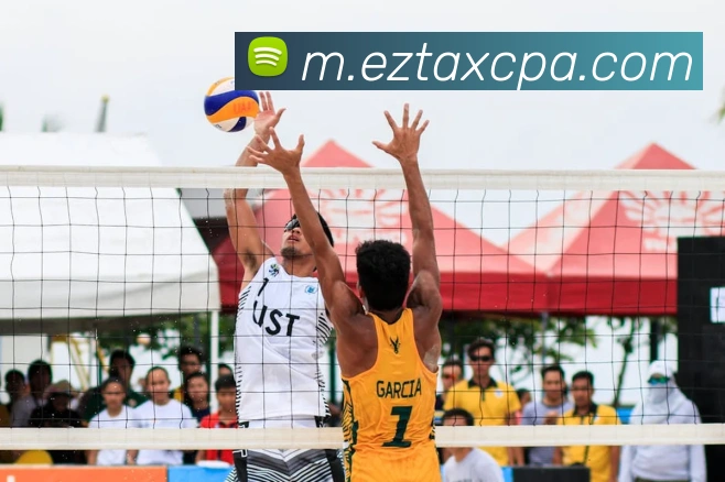 pa真人视讯品牌故事